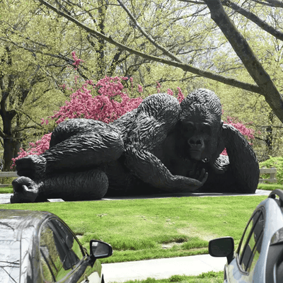 'World's largest bronze gorilla sculpture' comes to Bruce Museum in Greenwich