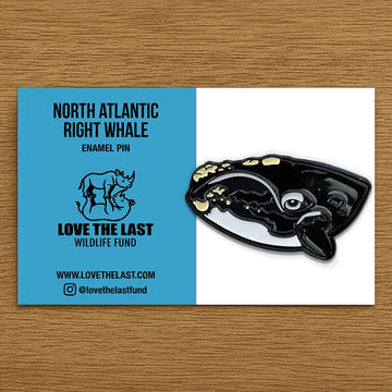 North Atlantic Right Whale (Enamel Pin)