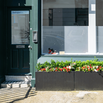 A Little Step at a Time (Bronze Sculpture)