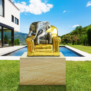 Elephant Takes a Seat