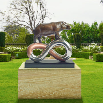 Hippo Infinity