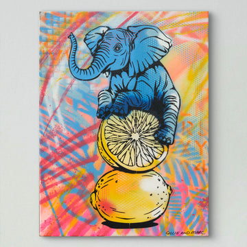 Lemon Squash (Original Painting)