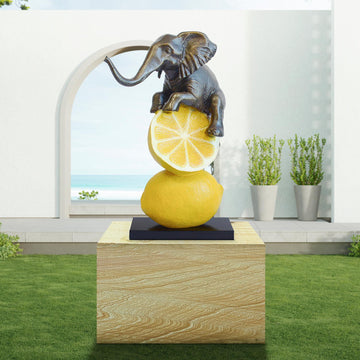 Lemons and Elephant