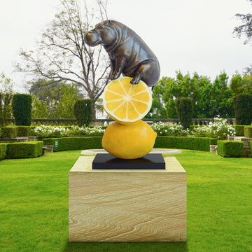 Lemons and Hippo