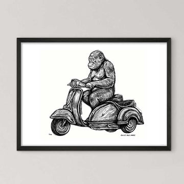 Tapanuli Orangutan Races in the Vespa Side Car (Giclee Canvas Print)
