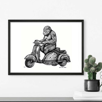 Tapanuli Orangutan Races in the Vespa Side Car (Giclee Canvas Print)