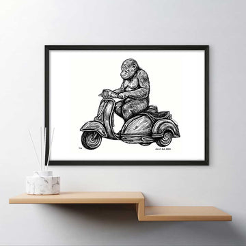 Tapanuli Orangutan Races in the Vespa Side Car (Giclee Canvas Print)