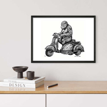 Tapanuli Orangutan Races in the Vespa Side Car (Giclee Canvas Print)