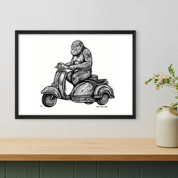 Tapanuli Orangutan Races in the Vespa Side Car (Giclee Canvas Print)
