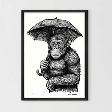 The Chimp and His Umbrella (Giclee Canvas Print)