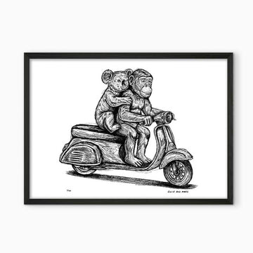 The Chimp and Koala Race on the Vespa (Giclee Canvas Print)