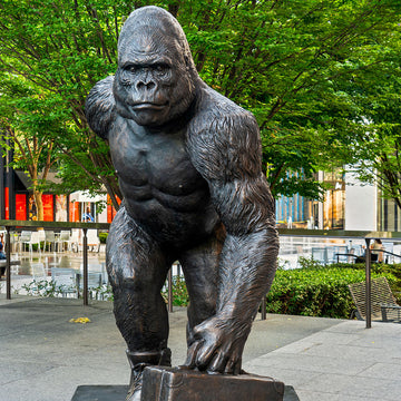 The Mountain Gorilla Races on Rollar Skates (Bronze Sculpture)