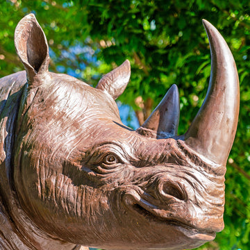 The Northern White Rhino Races on the Skateboard (Bronze Sculpture)