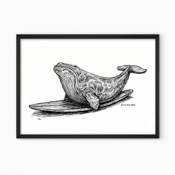The North Atlantic Right Whale Races on a Surfboard (Giclee Canvas Print)