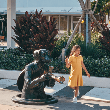 Watch Out for Paparazzi Dog (Bronze Sculpture, Large)