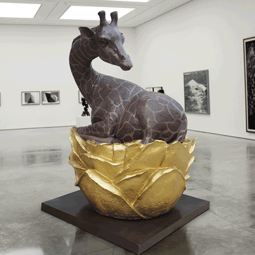 The Giraffe Was in Big Bloom