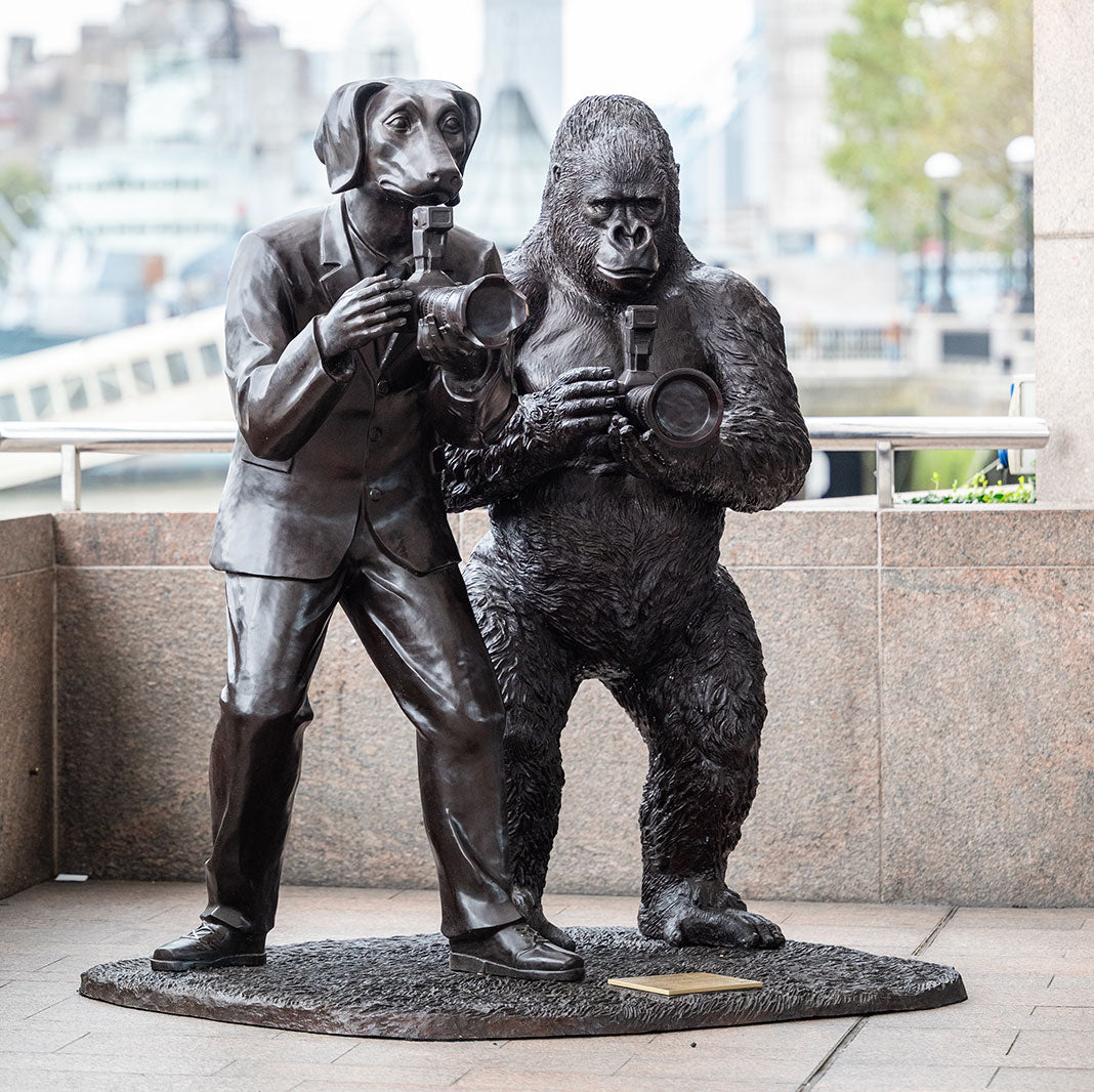 monkey gorillaさん専用その2です The Eastern Lowland Gorilla Only Shoots Photos with Dogman (Bronze