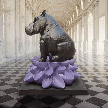 The Hippo Was in Big Bloom