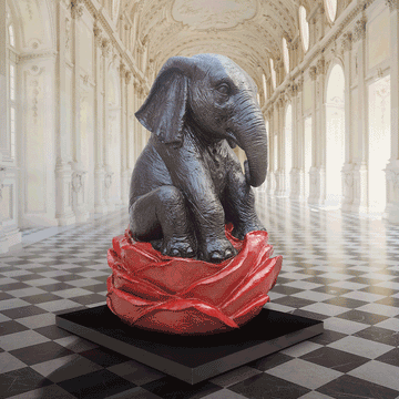 The Elephant Was in Big Bloom