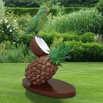 Parrots and Coconuts