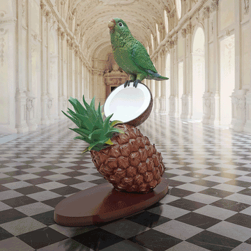 Parrots and Coconuts