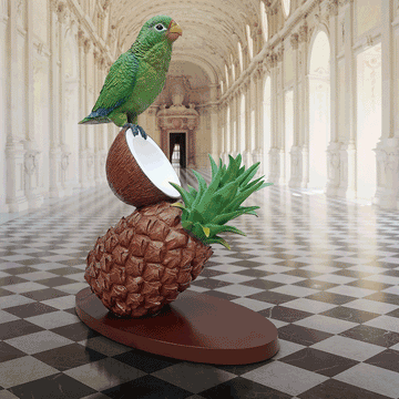 Parrots and Coconuts