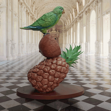 Parrots and Coconuts