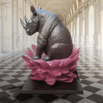 The Rhino Was in Big Bloom