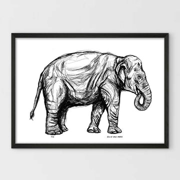 Sumatran Elephant Forever (Giclee Canvas Print)