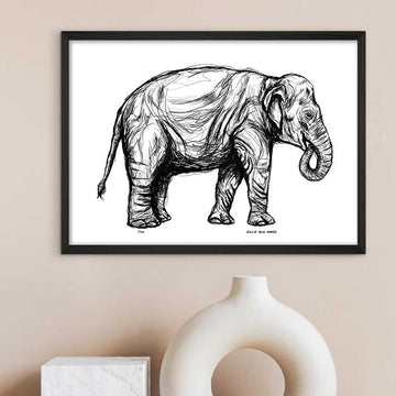 Sumatran Elephant Forever (Giclee Canvas Print)