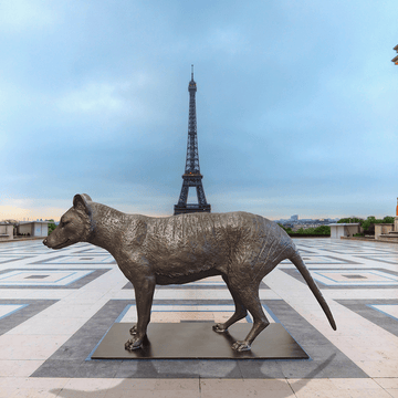 Tasmanian Tiger (Bronze Sculpture)