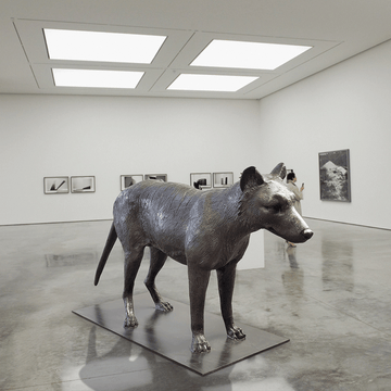 Tasmanian Tiger (Bronze Sculpture)