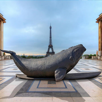 The North Atlantic Right Whale Races on a Surfboard (Bronze Sculpture)