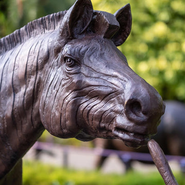 Love the Grevy's Zebra (Bronze Sculpture)