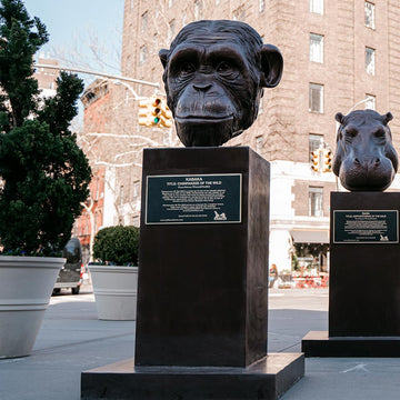 Kabaka - Chimpanzee of the Wild (Bronze Sculpture)