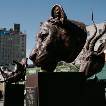 Gahiji - African Lioness of the Wild (Bronze Sculpture)