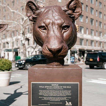 Gahiji - African Lioness of the Wild (Bronze Sculpture)