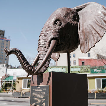 Adwin - African Forest Elephant of the Wild (Bronze Sculpture)