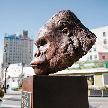 Beno - Western Lowland Gorilla of the Wild (Bronze Sculpture)