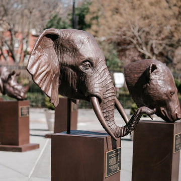 Adwin - African Forest Elephant of the Wild (Bronze Sculpture)