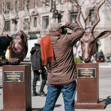 Hamza - Addax Antelope of the Wild (Bronze Sculpture)