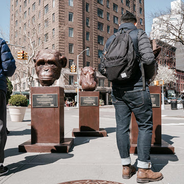 Raza - Hippopotamus of the Wild (Bronze Sculpture)