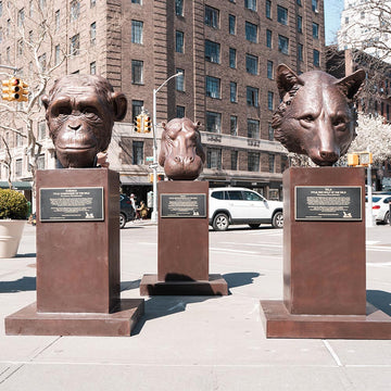 Kabaka - Chimpanzee of the Wild (Bronze Sculpture)