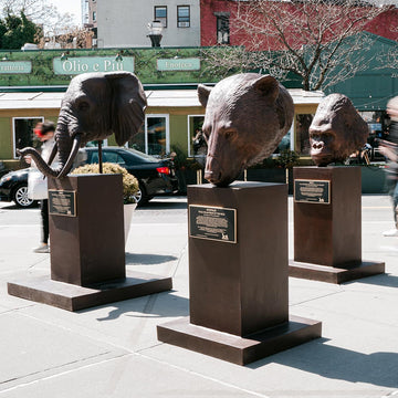 Adwin - African Forest Elephant of the Wild (Bronze Sculpture)