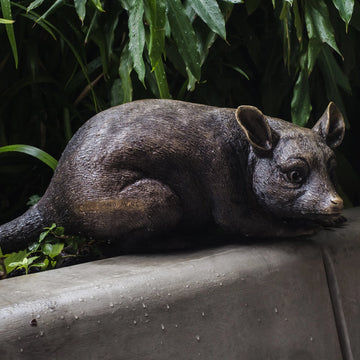 Possum Family (Bronze Sculpture)