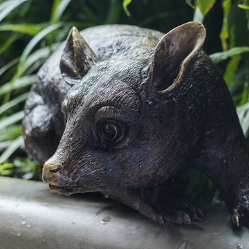 Possum Family (Bronze Sculpture)