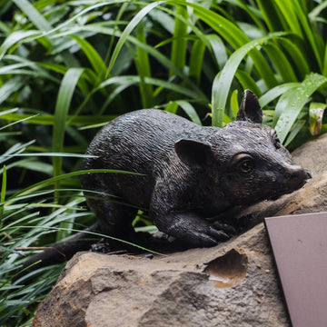 Possum Family (Bronze Sculpture)
