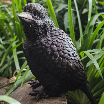 Kookaburra family (Bronze Sculpture)