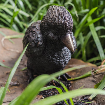 Kookaburra family (Bronze Sculpture)