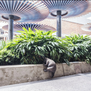 Common Wombats Family (Bronze Sculpture)